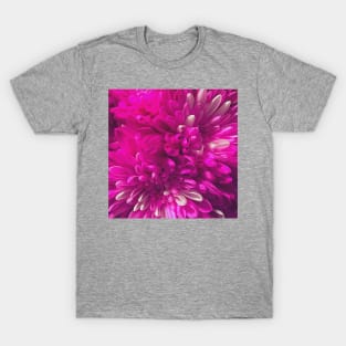 Chrysanthemum flowers close up photo T-Shirt